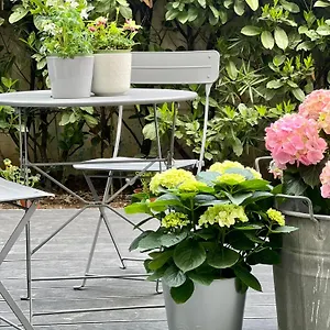 Bed & Breakfast Loft G Hospitality